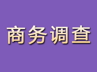 来安商务调查